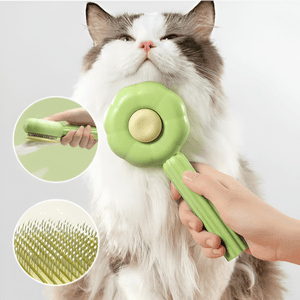 Grooming & Shedding