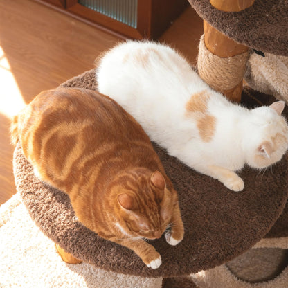 40 Inch Tall Modern Solid Wood Cat Tree Tower for Indoor Cats Large Adult, Sturdy Heavy - Duty Cat Condo with Scratching Post, Perch, Scratcher, Platform, Cozy Hideaway - Novusyes