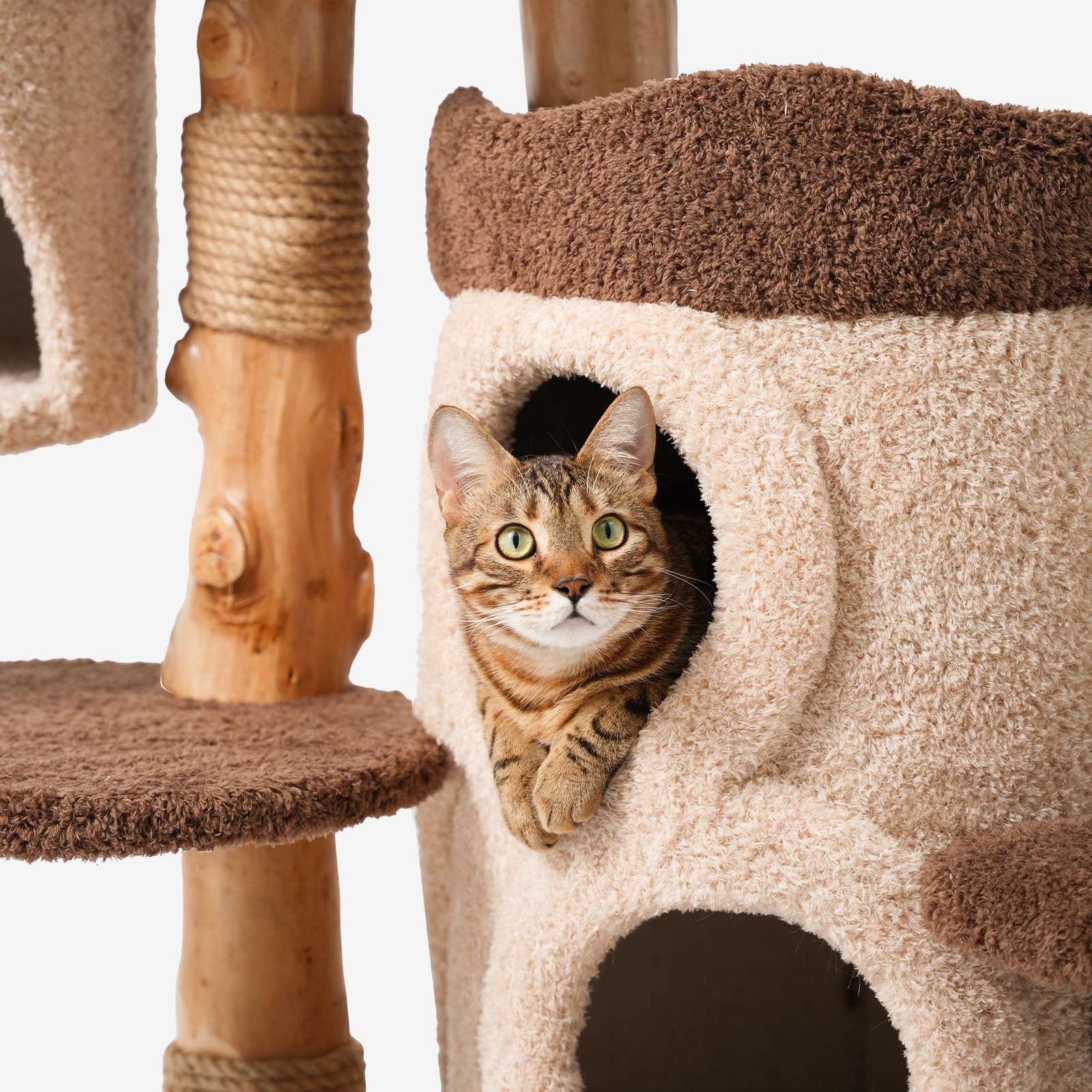40 Inch Tall Modern Solid Wood Cat Tree Tower for Indoor Cats Large Adult, Sturdy Heavy - Duty Cat Condo with Scratching Post, Perch, Scratcher, Platform, Cozy Hideaway - Novusyes