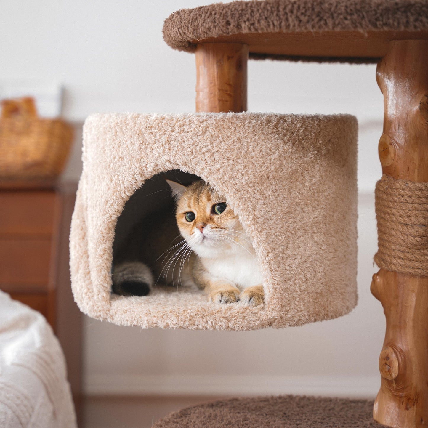 40 Inch Tall Modern Solid Wood Cat Tree Tower for Indoor Cats Large Adult, Sturdy Heavy - Duty Cat Condo with Scratching Post, Perch, Scratcher, Platform, Cozy Hideaway - Novusyes