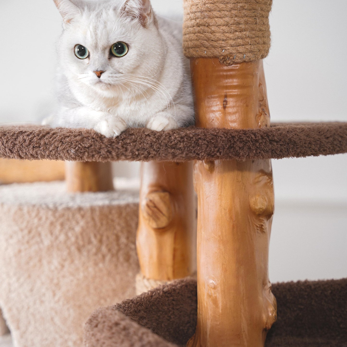 40 Inch Tall Modern Solid Wood Cat Tree Tower for Indoor Cats Large Adult, Sturdy Heavy - Duty Cat Condo with Scratching Post, Perch, Scratcher, Platform, Cozy Hideaway - Novusyes