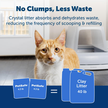 Orange cat beside PetSafe ScoopFree Crystal Cat Litter Refill – Fresh Scent (2-Pack) packaging and blue bags.