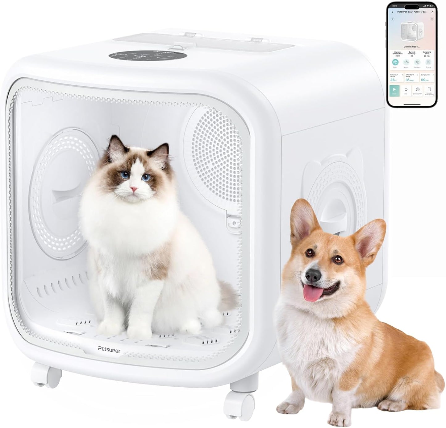 Automatic Pet Dryer Box 75L – Smart, Ultra-Quiet & Safe Drying for Cats & Small Dogs