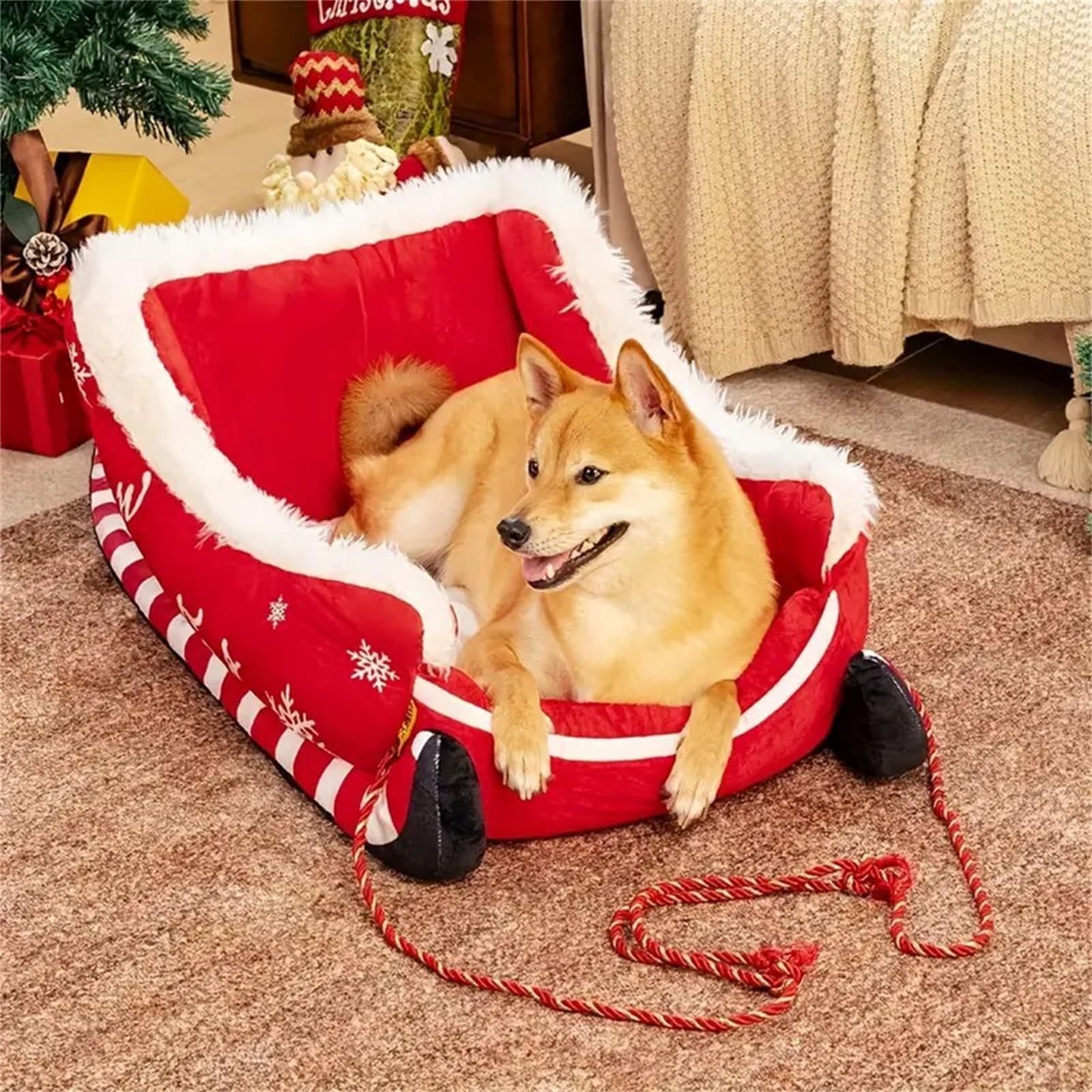 Dog sitting in a red pet sleigh with white trim on a carpeted floor.