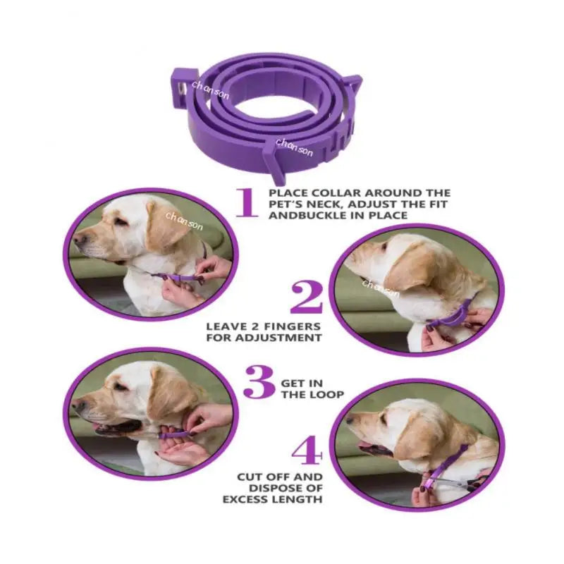 Dog & Cat Calming Collar – 60-Day Relief