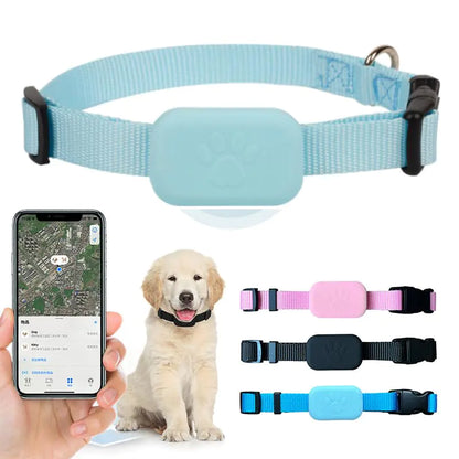 GPS Pet Collar