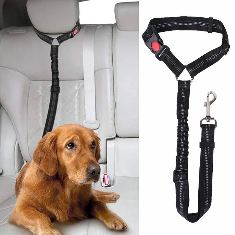 Dog Car Seat Belt – Adjustable Pet Safety Tether for Vehicle Travel & Harness Use - Novusyes