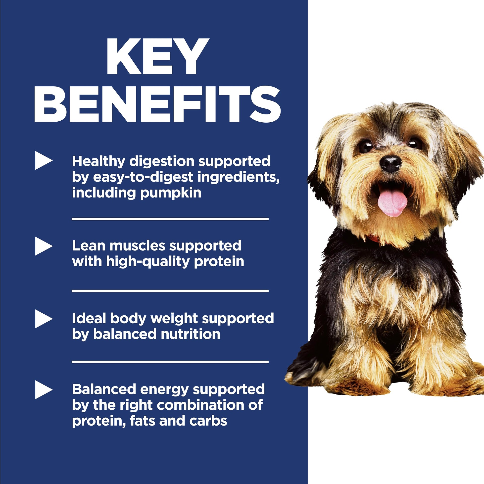 Hill’s Science Diet Small & Mini Adult 1 - 6 – Chicken & Brown Rice, 4.5 lb Bag - Novusyes