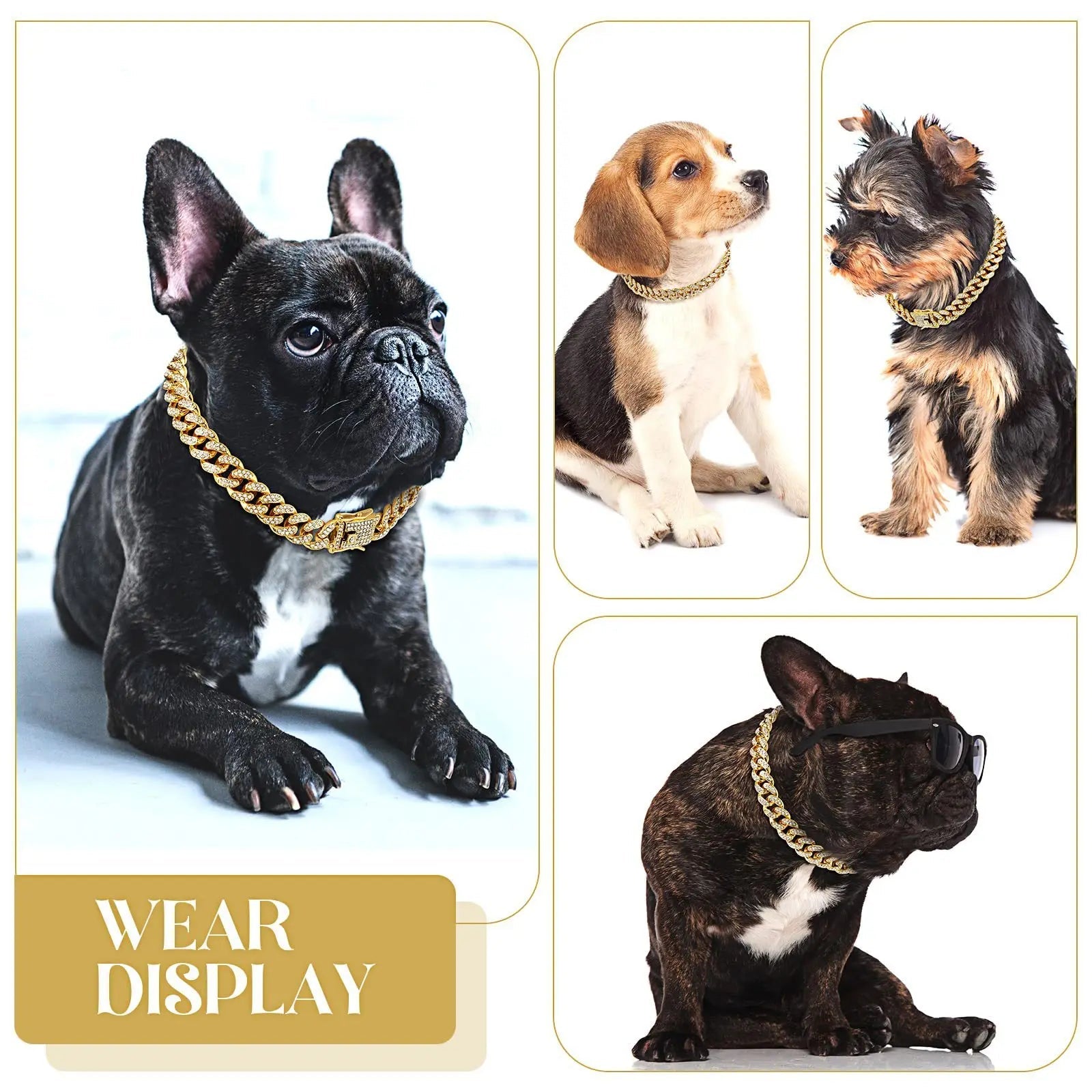 Luxury Pet Chain Collar - Novusyes