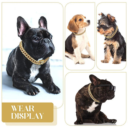 Luxury Pet Chain Collar - Novusyes