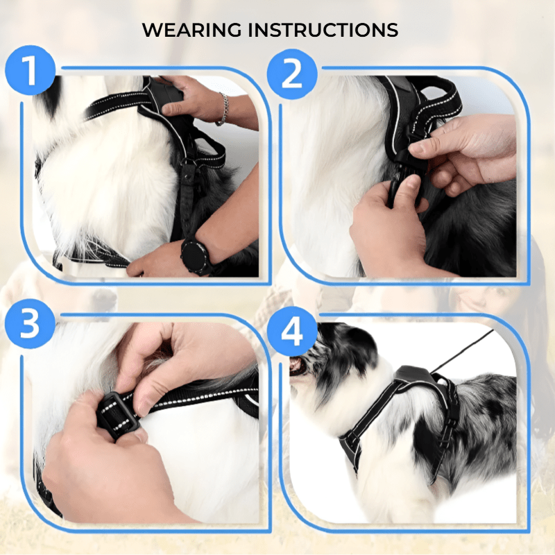 No - Pull Dog Harness – Adjustable & Reflective - Novusyes