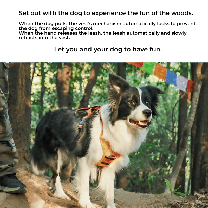 No - Pull Dog Harness – Adjustable & Reflective - Novusyes