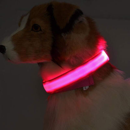 Nylon LED Pet Dog Luminous Collar Night Safety Flashing Glow in Dark Dog Cat Leash Adjustable Pet Supplies - Novusyes