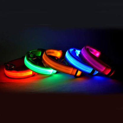 Nylon LED Pet Dog Luminous Collar Night Safety Flashing Glow in Dark Dog Cat Leash Adjustable Pet Supplies - Novusyes