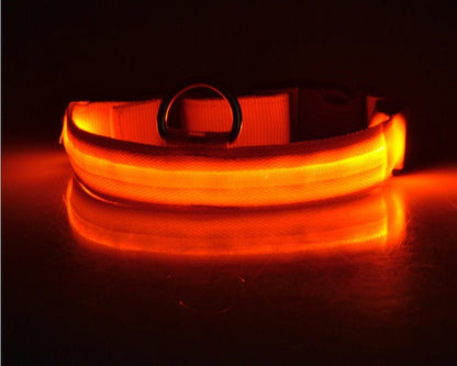Nylon LED Pet Dog Luminous Collar Night Safety Flashing Glow in Dark Dog Cat Leash Adjustable Pet Supplies - Novusyes