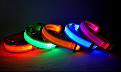 Nylon LED Pet Dog Luminous Collar Night Safety Flashing Glow in Dark Dog Cat Leash Adjustable Pet Supplies - Novusyes