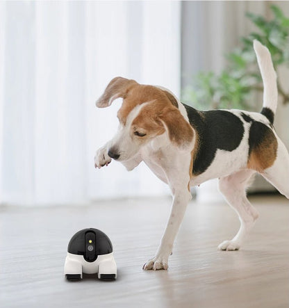 Pet surveillance camera - Novusyes
