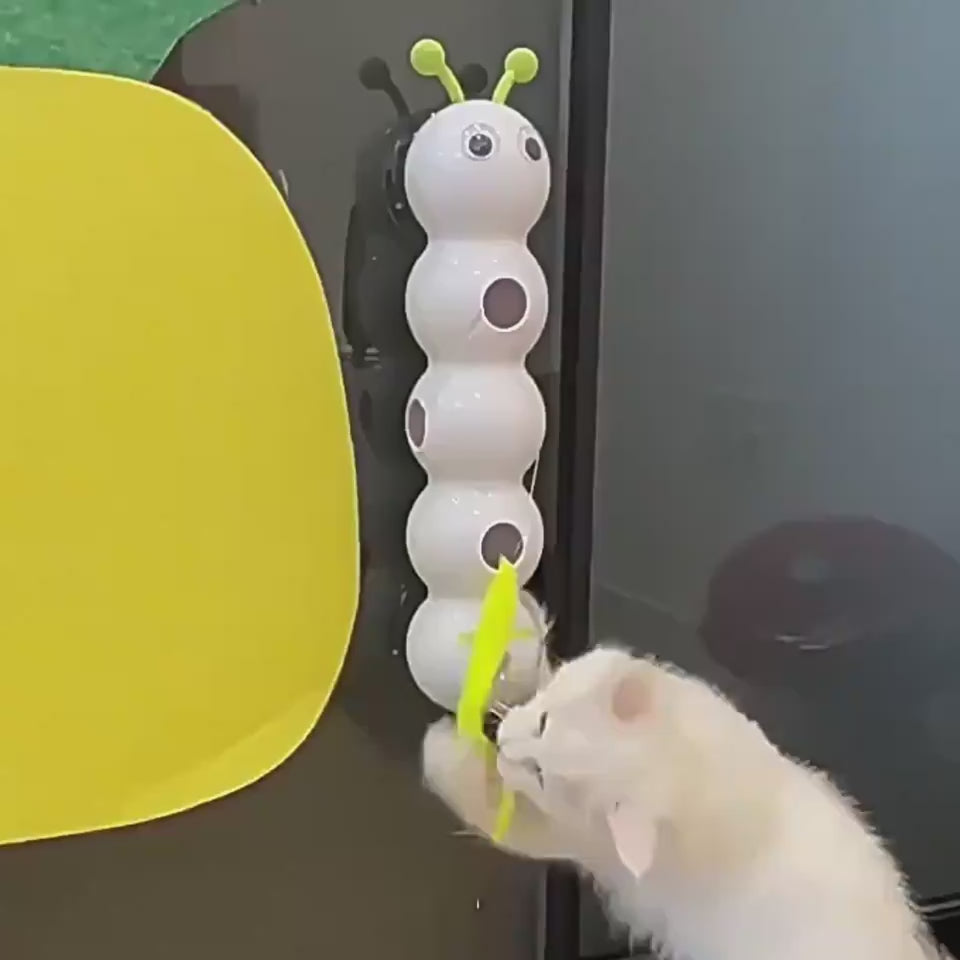 Is your cat bored at home?