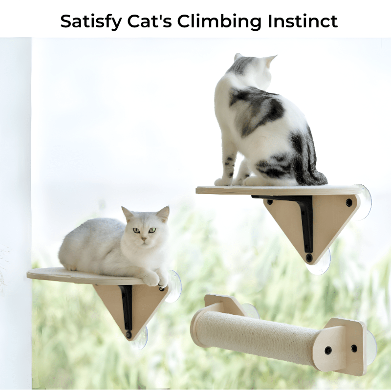 Ultimate Cat Window Perch – Cozy Hammock with Climbing Steps & Scratching Post! - Novusyes