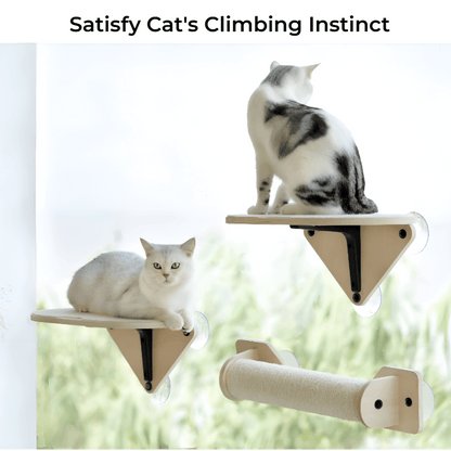 Ultimate Cat Window Perch – Cozy Hammock with Climbing Steps & Scratching Post! - Novusyes