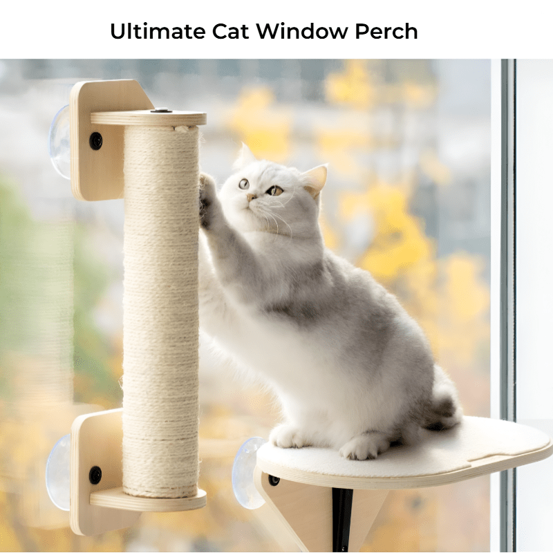 Ultimate Cat Window Perch – Cozy Hammock with Climbing Steps & Scratching Post! - Novusyes