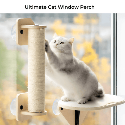 Ultimate Cat Window Perch – Cozy Hammock with Climbing Steps & Scratching Post! - Novusyes